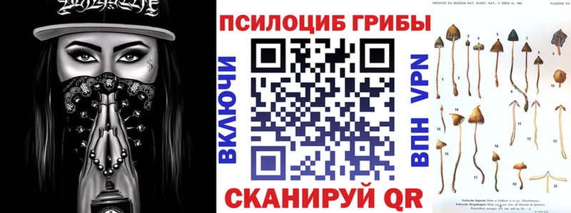Псилоцибиновые грибы Cubensis  OMG зеркало  Сердобск 